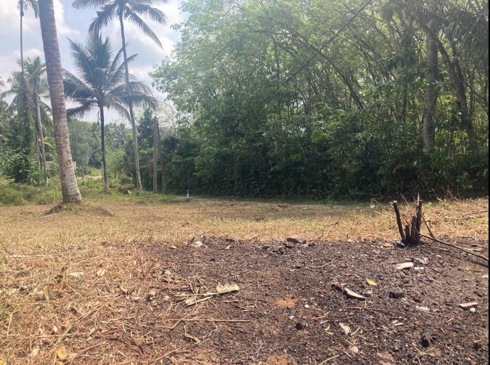 හෝමාගම කිරිවත්තුඩුවෙන් නේවාසික ඉඩමක්