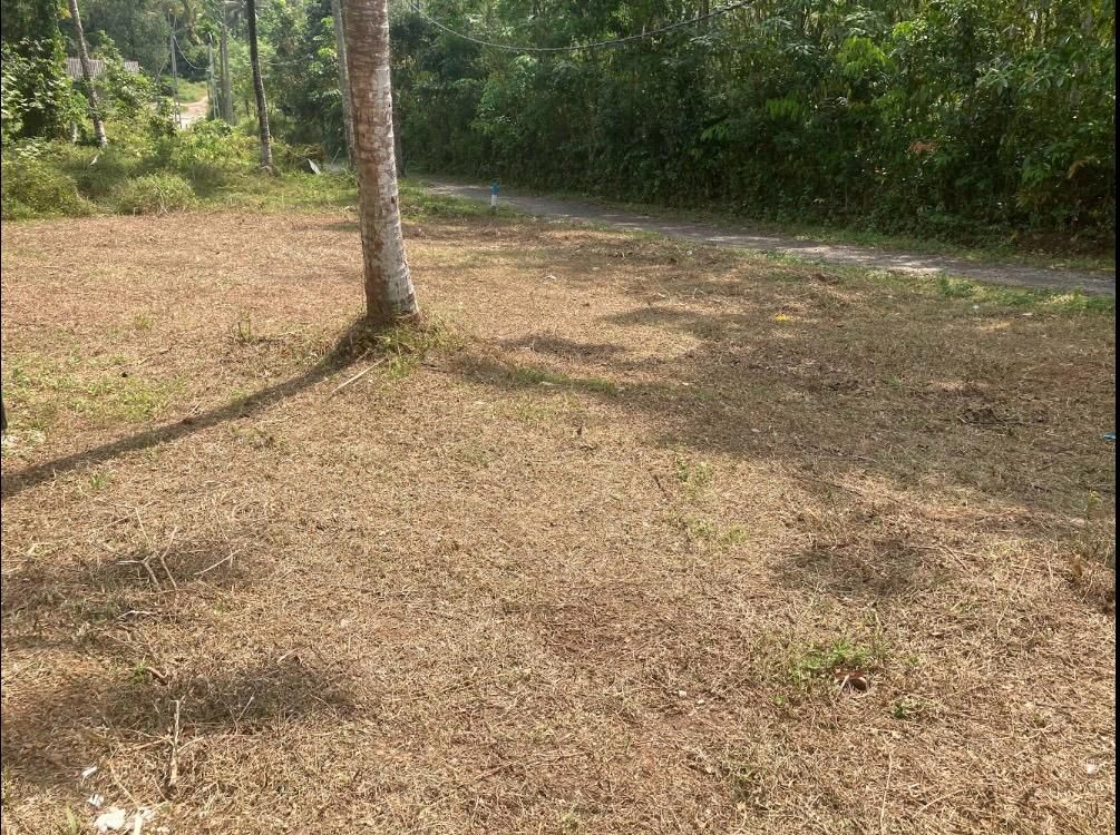 හෝමාගම කිරිවත්තුඩුවෙන් නේවාසික ඉඩමක්