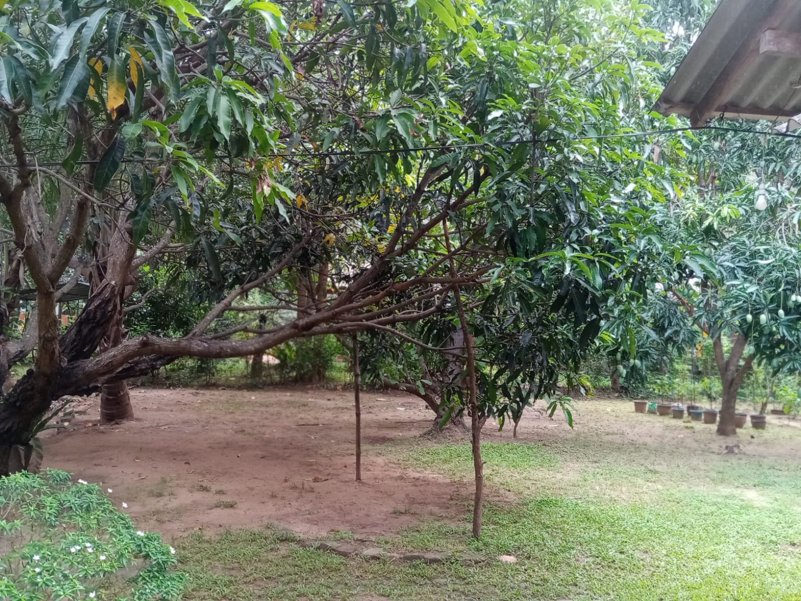 land for sale dambulla