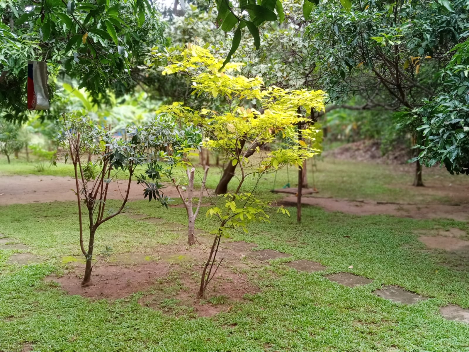 land for sale dambulla
