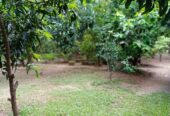 land for sale dambulla