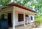 land for sale dambulla