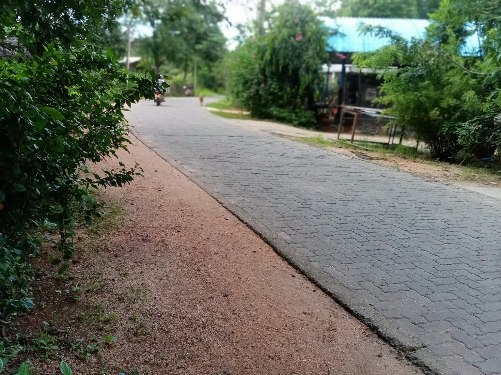 land for sale dambulla