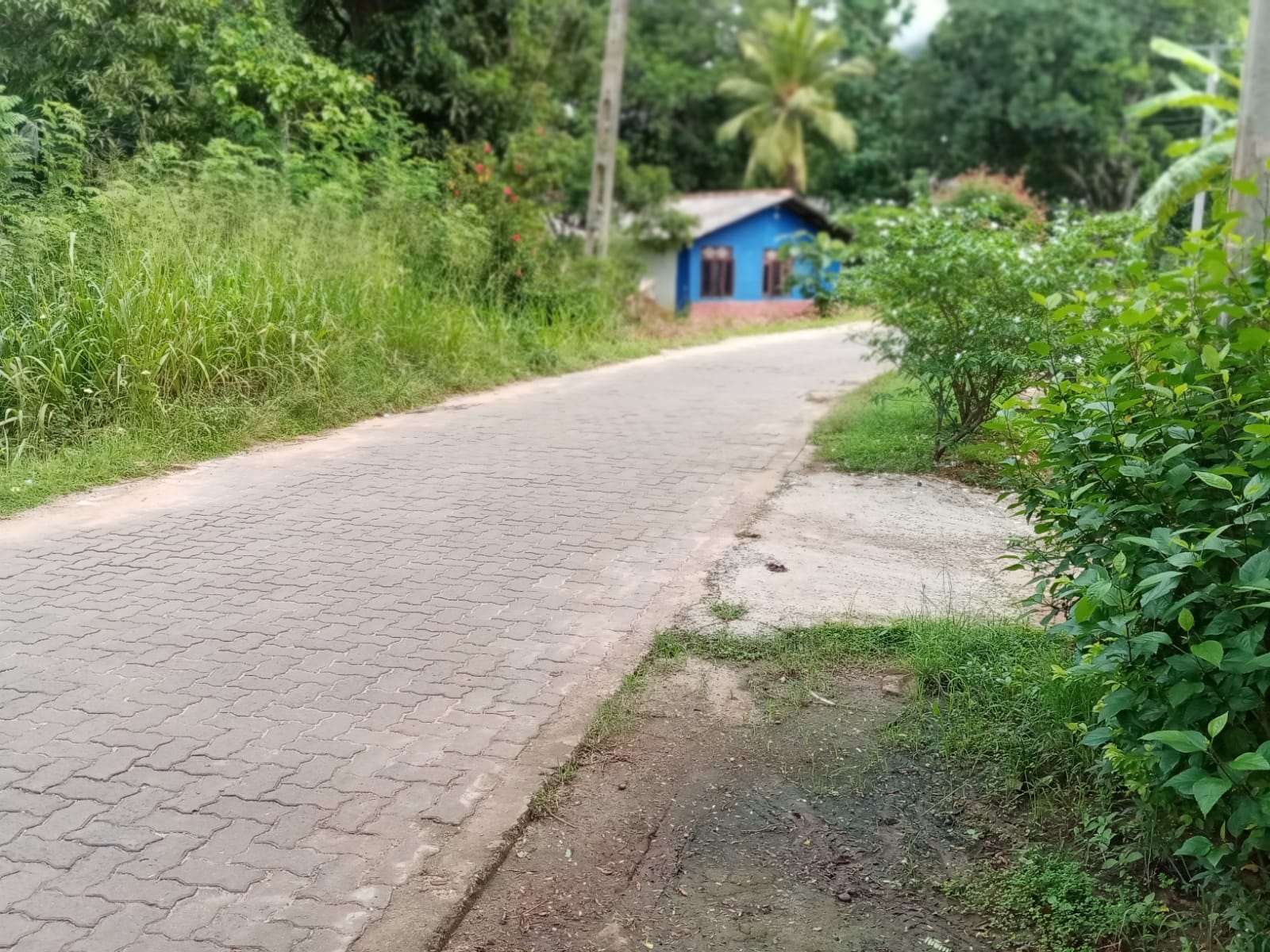 land for sale dambulla