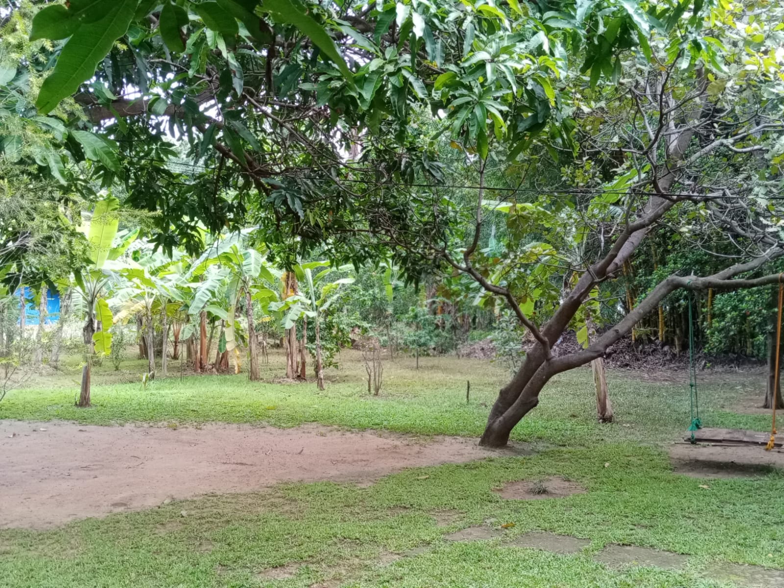 land for sale dambulla