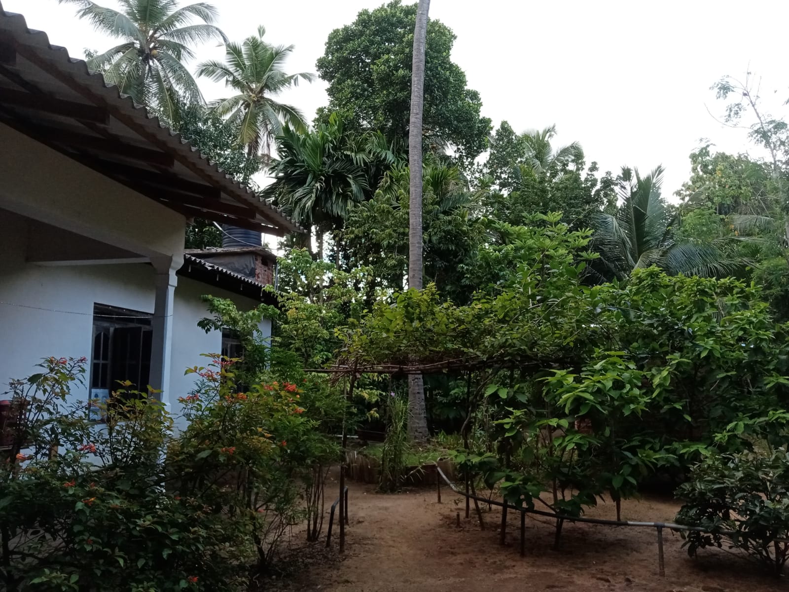 land for sale dambulla
