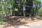 Land for sale in Piliyandala