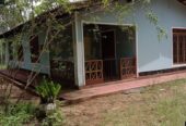 House for Sale in Aralaganwila , Polonnaruwa