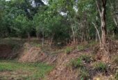 Land For Sale In Aladeniya