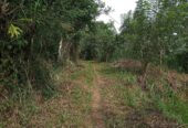 Land For Sale In Aladeniya