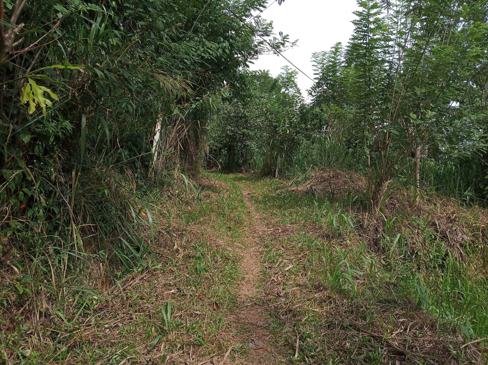Land For Sale In Aladeniya