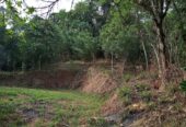 Land For Sale In Aladeniya