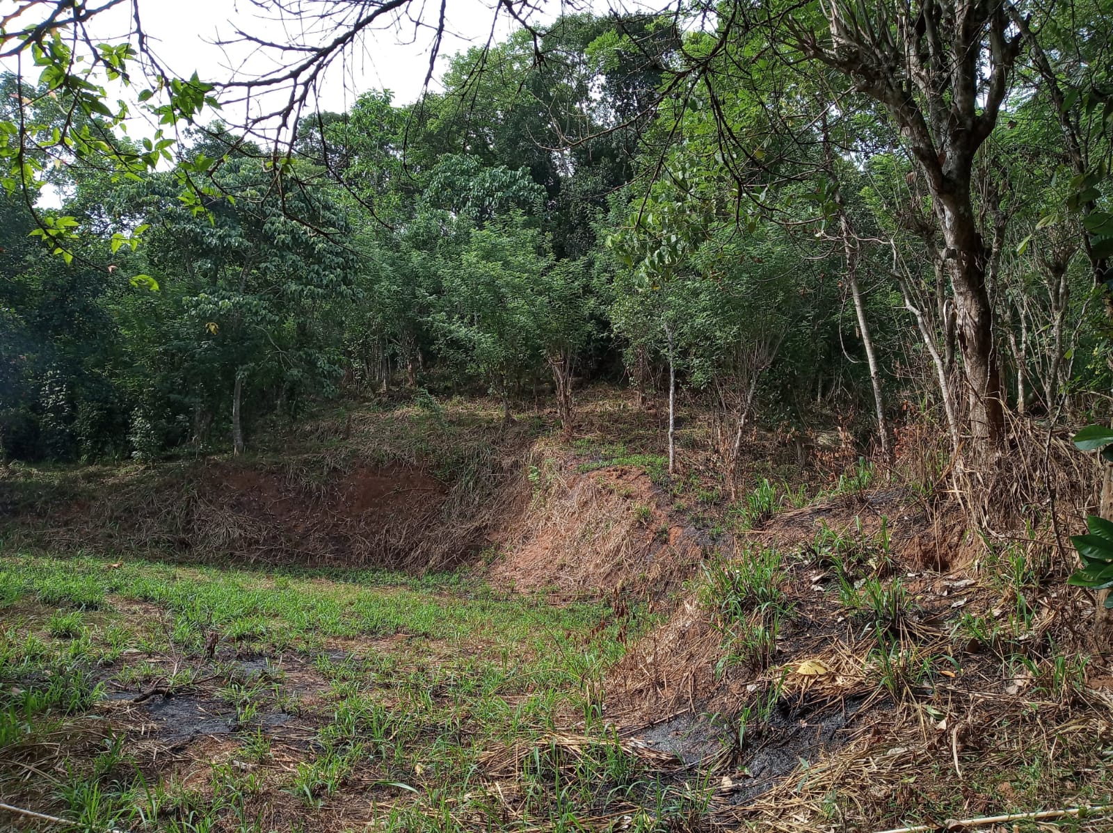 Land For Sale In Aladeniya