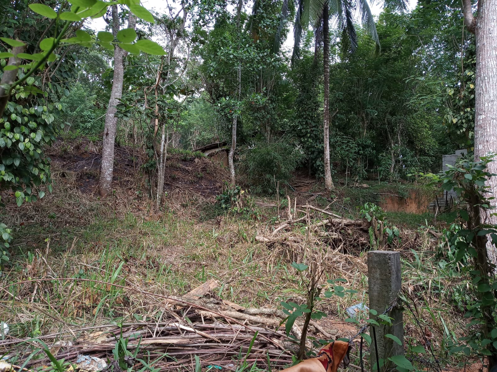 Land For Sale In Aladeniya