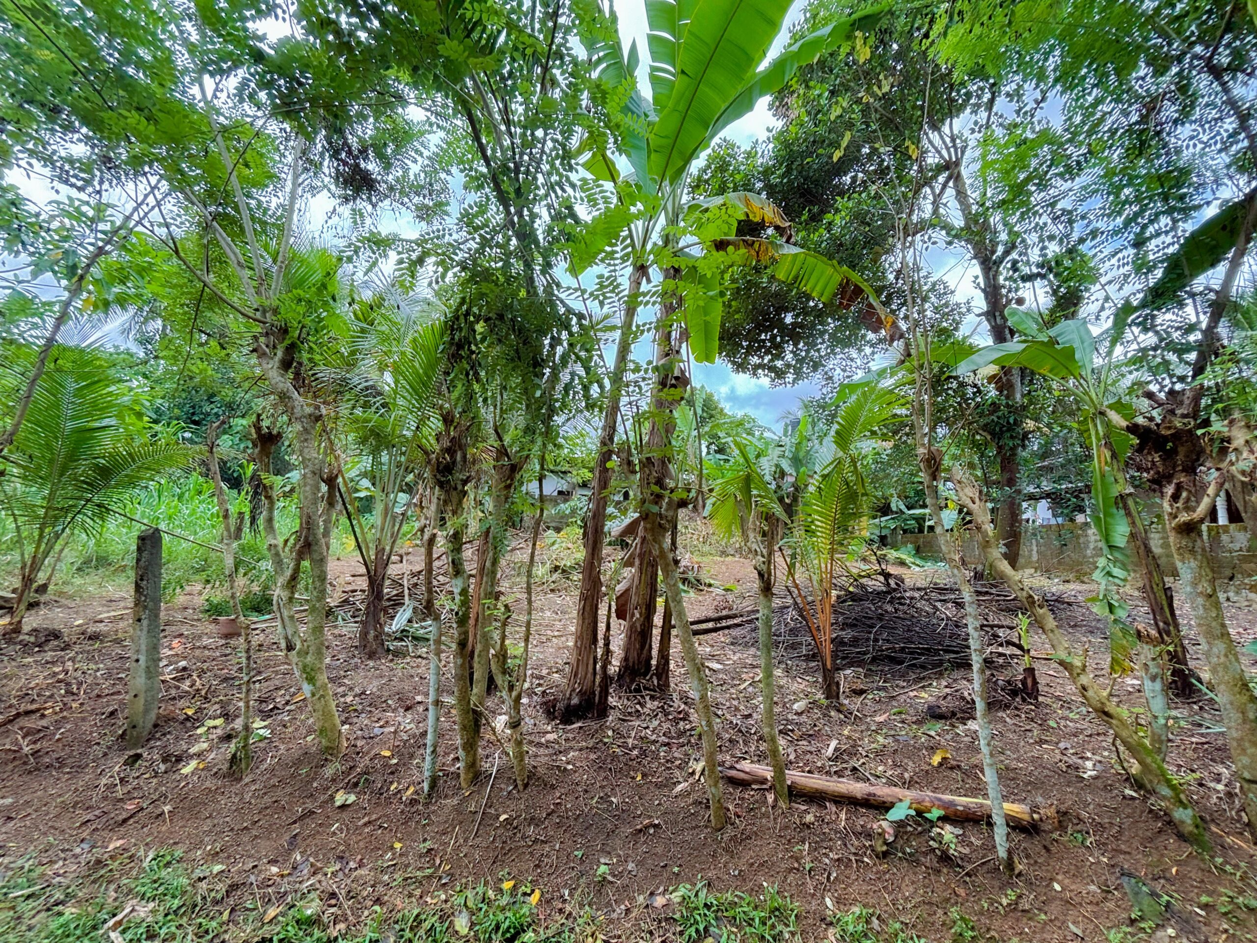 Residential Land for Sale Near Kiriwattuduwa