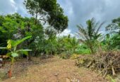 Residential Land for Sale Near Kiriwattuduwa