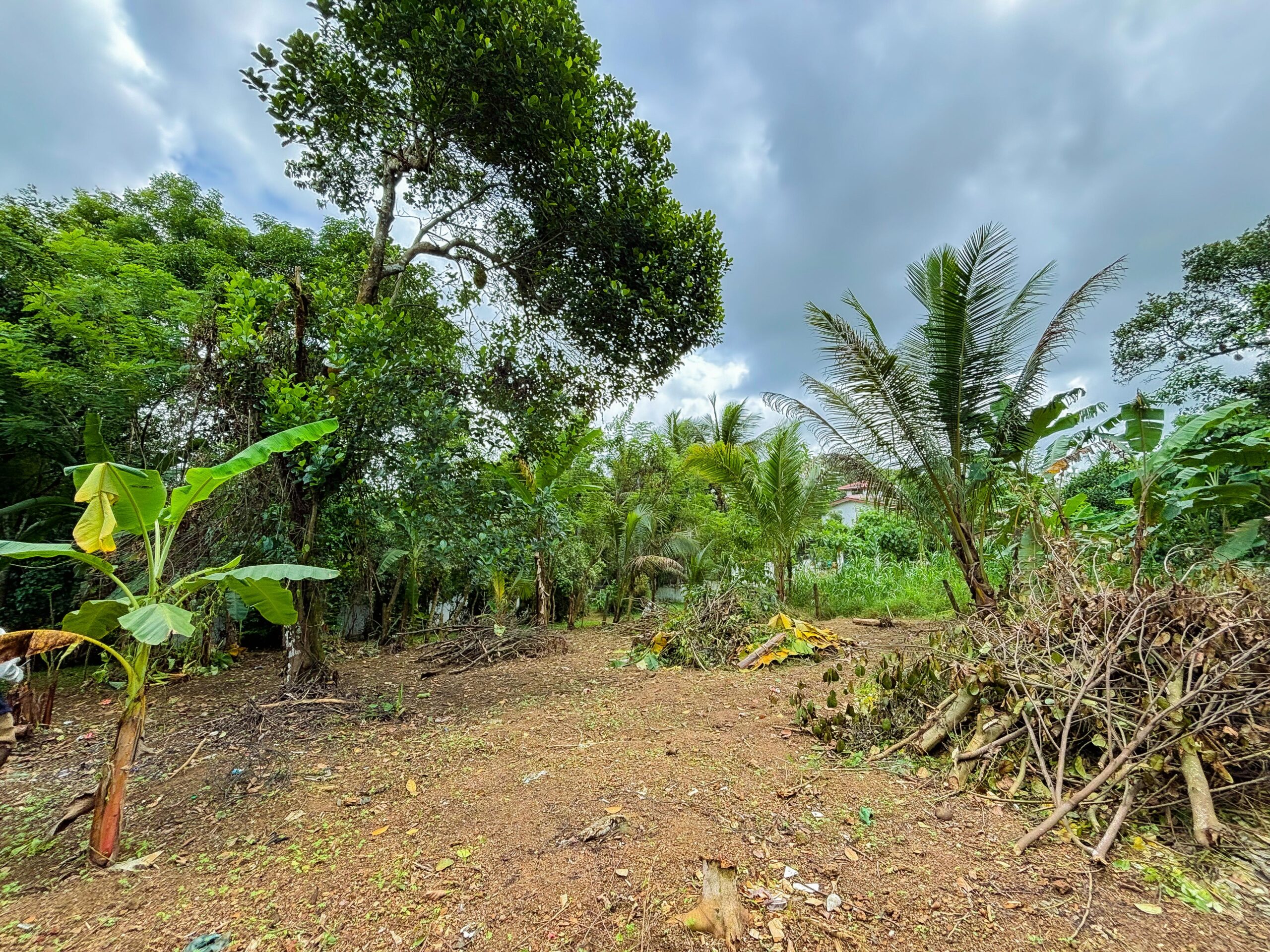 Residential Land for Sale Near Kiriwattuduwa