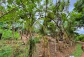 Residential Land for Sale Near Kiriwattuduwa