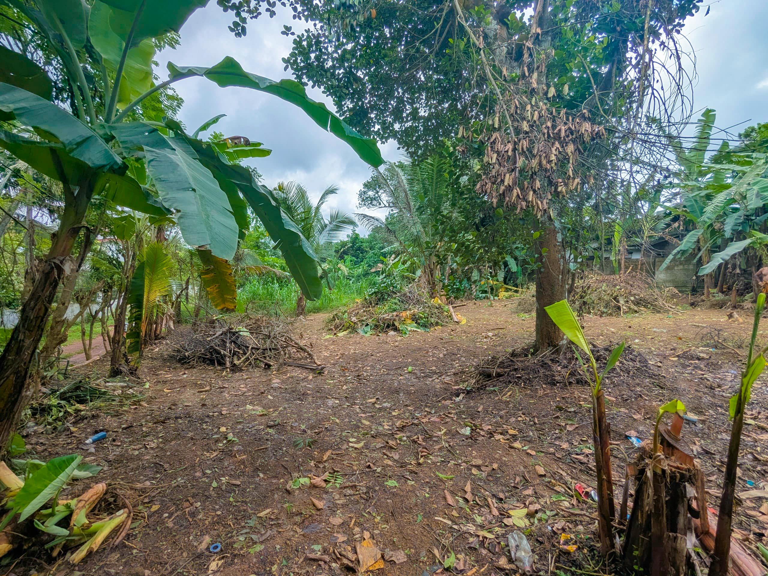 Residential Land for Sale Near Kiriwattuduwa