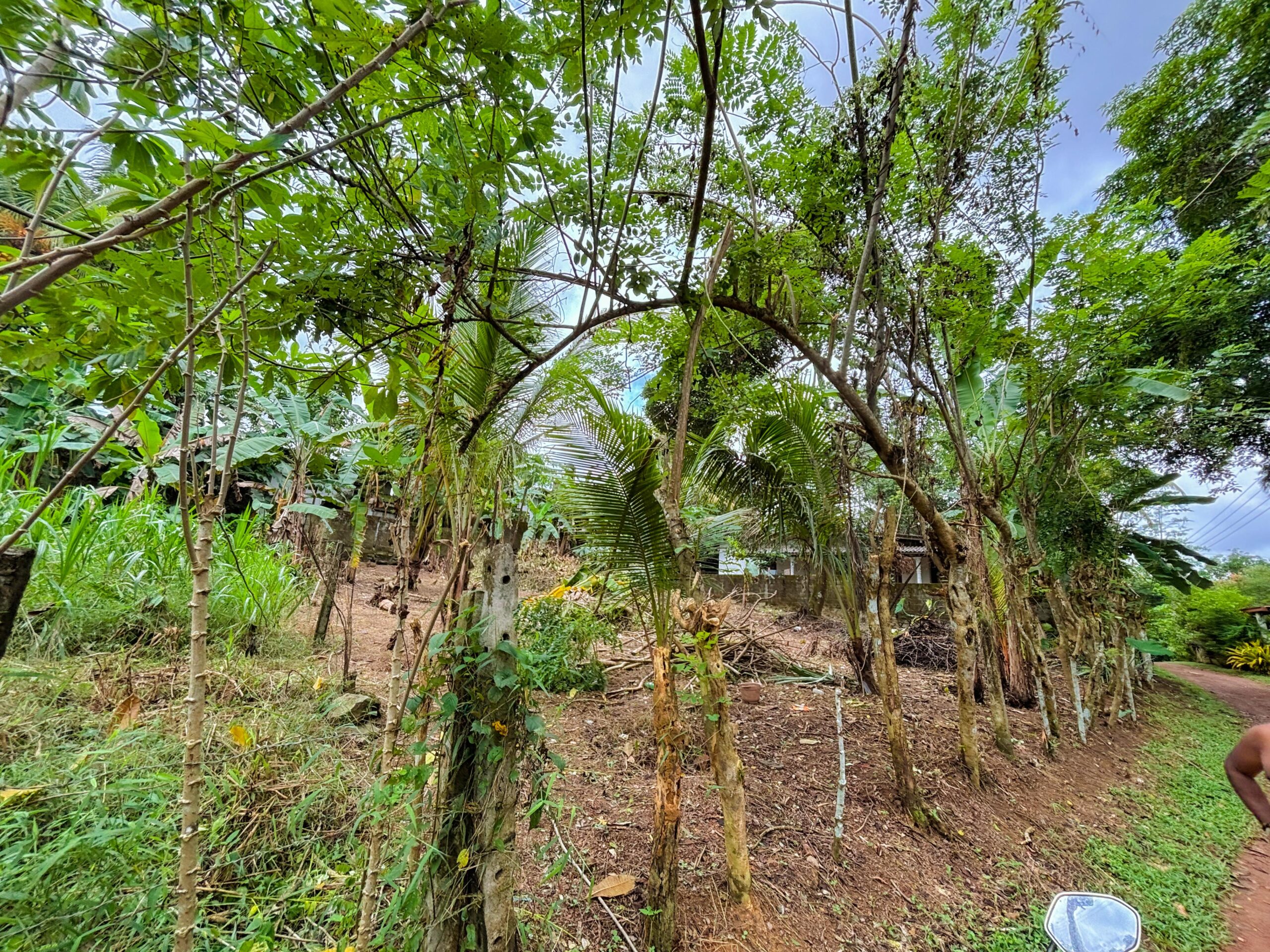 Residential Land for Sale Near Kiriwattuduwa