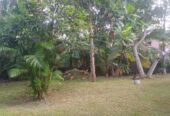 House with Land for Sale in Kalutara South