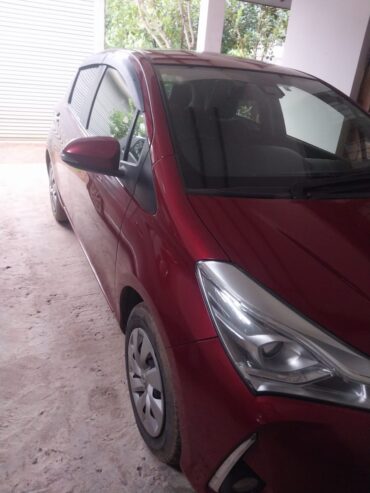 Toyota Vitz 2019