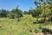 Land for Sale in Monaragala