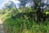 Land for Sale in Monaragala