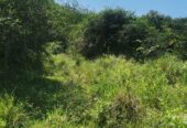 Land for Sale in Monaragala