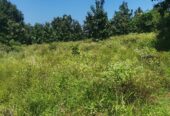 Land for Sale in Monaragala