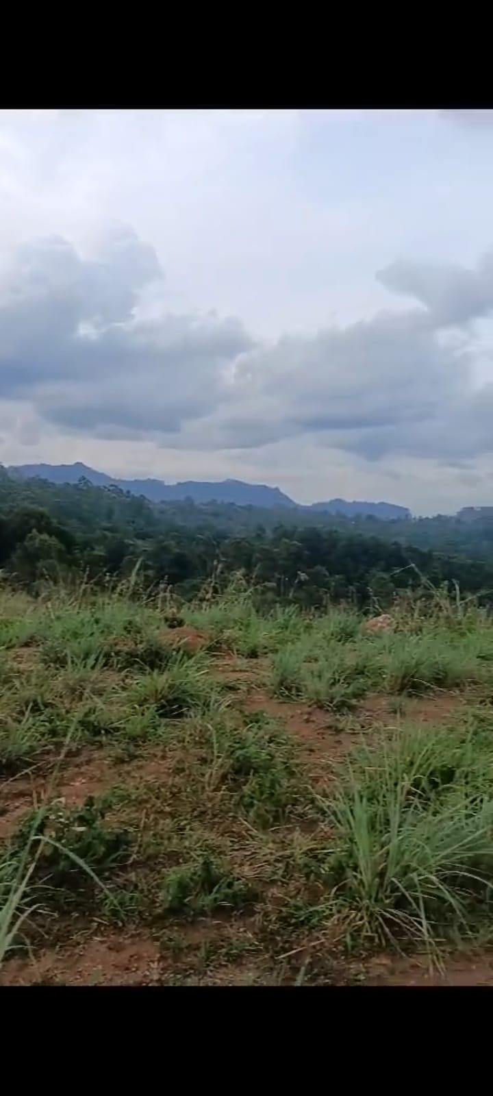 Land For Sale In Welimada