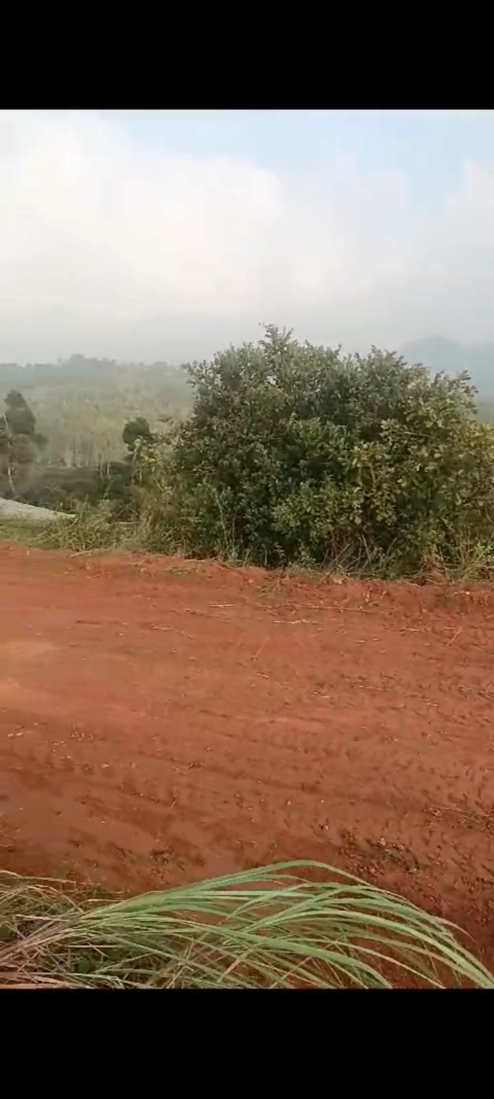 Land For Sale In Welimada