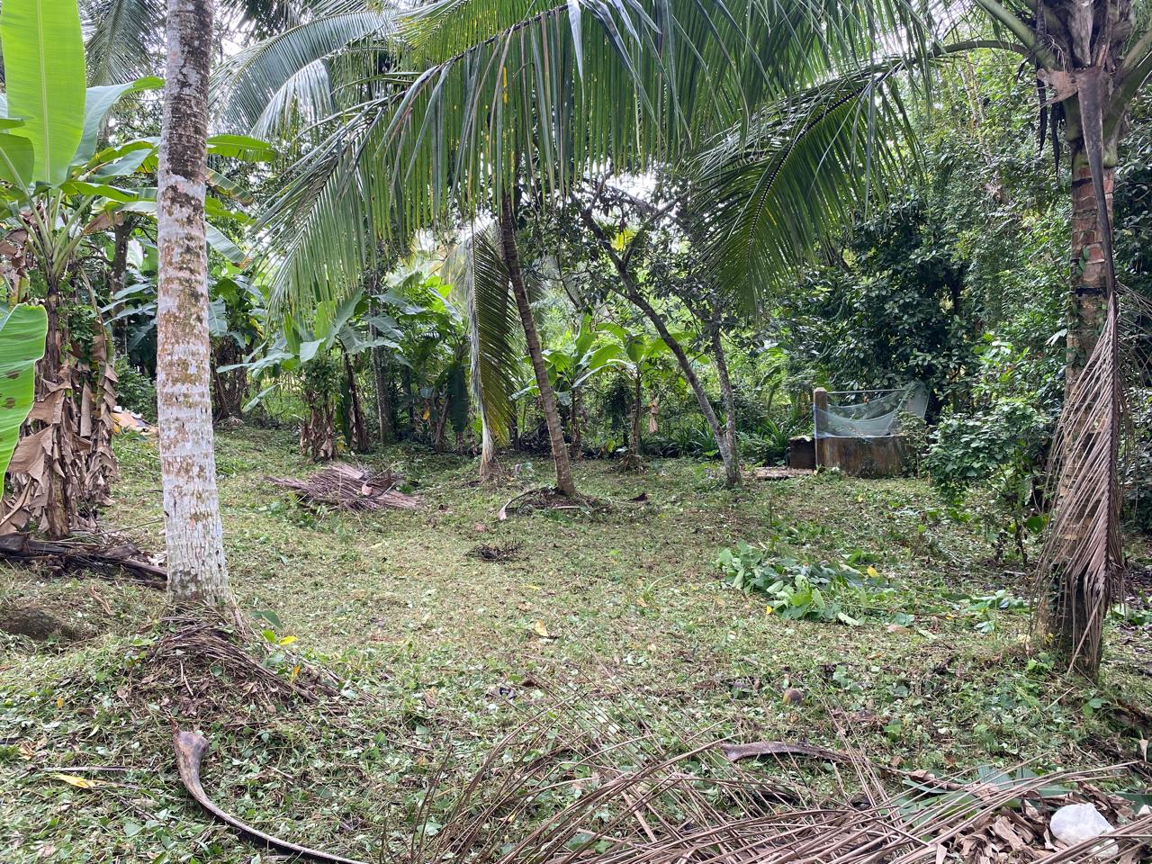 Land for Sale – Homagama / Near Kiriwaththuduwa