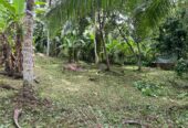 Land for Sale – Homagama / Near Kiriwaththuduwa