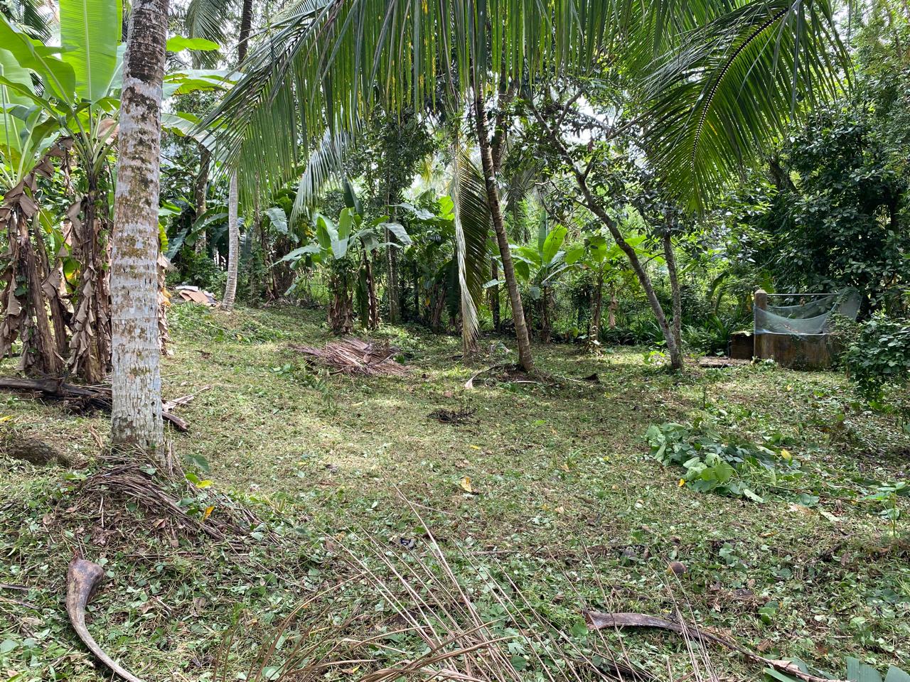 Land for Sale – Homagama / Near Kiriwaththuduwa