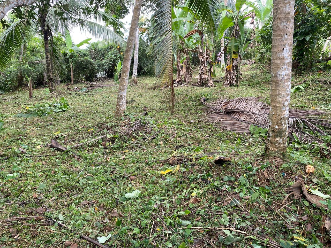 Land for Sale – Homagama / Near Kiriwaththuduwa