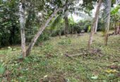 Land for Sale – Homagama / Near Kiriwaththuduwa