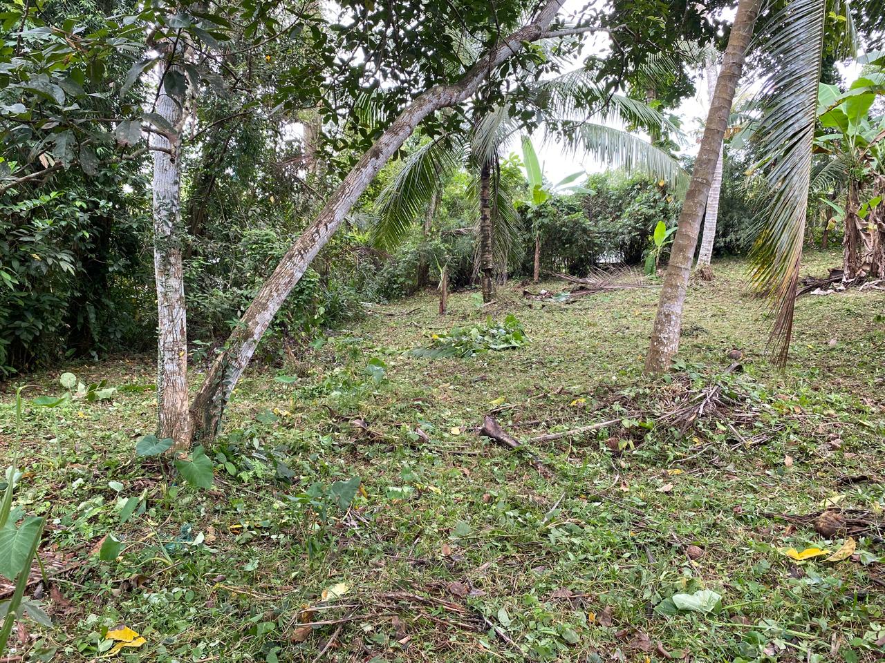 Land for Sale – Homagama / Near Kiriwaththuduwa