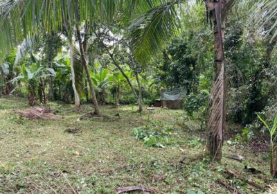 Land for Sale – Homagama / Near Kiriwaththuduwa