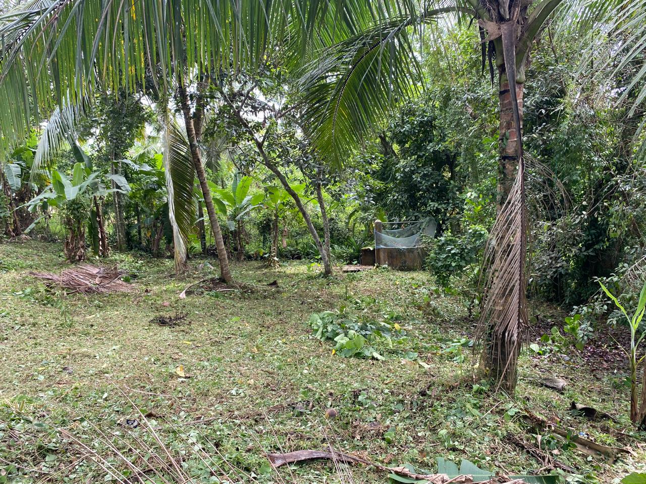 Land for Sale – Homagama / Near Kiriwaththuduwa