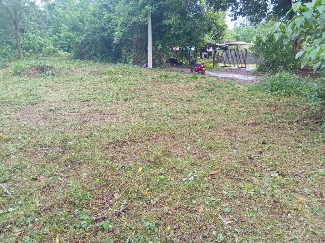 Land in Panadura for Sale(near Bolgoda Lake)