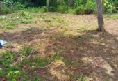Land in Panadura for Sale(near Bolgoda Lake)