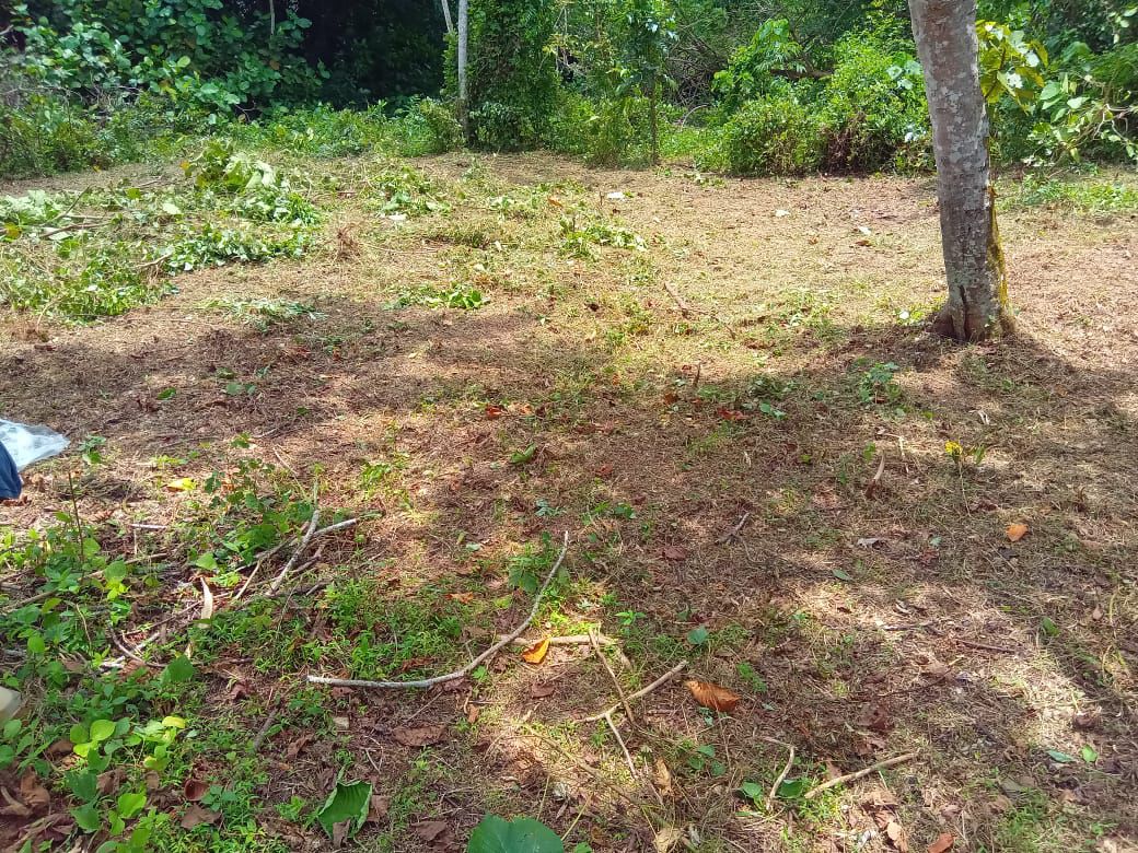 Land in Panadura for Sale(near Bolgoda Lake)