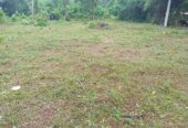 Land in Panadura for Sale(near Bolgoda Lake)