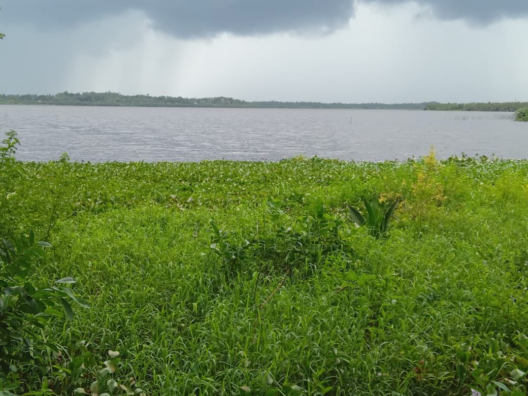 Land in Panadura for Sale(near Bolgoda Lake)