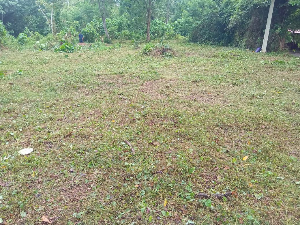 Land in Panadura for Sale(near Bolgoda Lake)