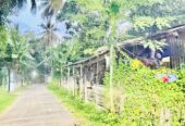 Land for Sale in Negombo , Gampaha