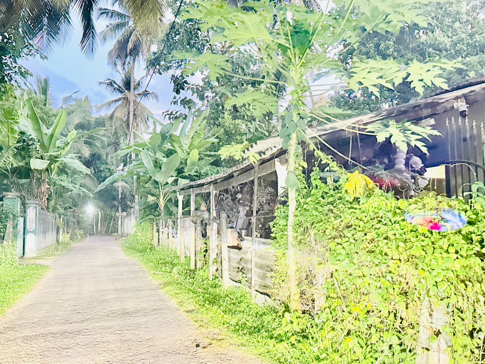 Land for Sale in Negombo , Gampaha