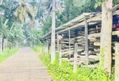 Land for Sale in Negombo , Gampaha