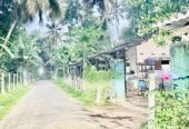 Land for Sale in Negombo , Gampaha